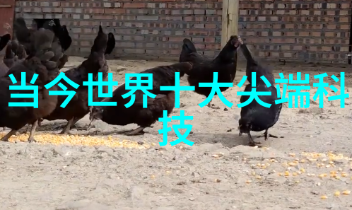 卫生间成品隔断多少钱一平米-厕所隔断价格大盘点知名品牌与市场平均价比较