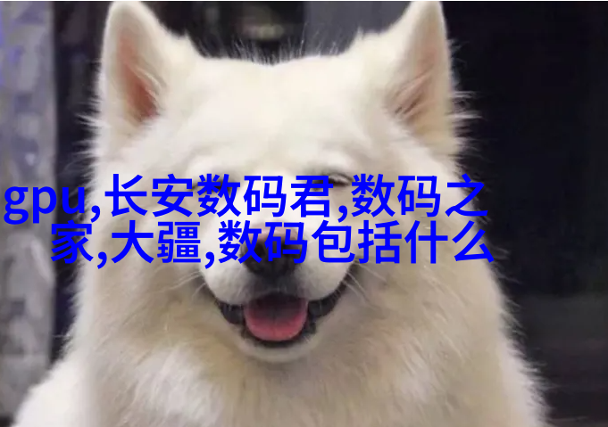 户外灯串