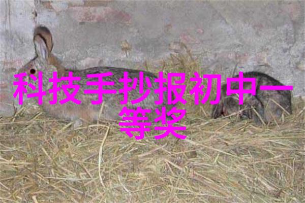 肉蒲三绝探秘传统肉类火锅的诱人魅力