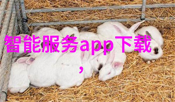 干燥设备网揭秘工业干燥技术的未来趋势