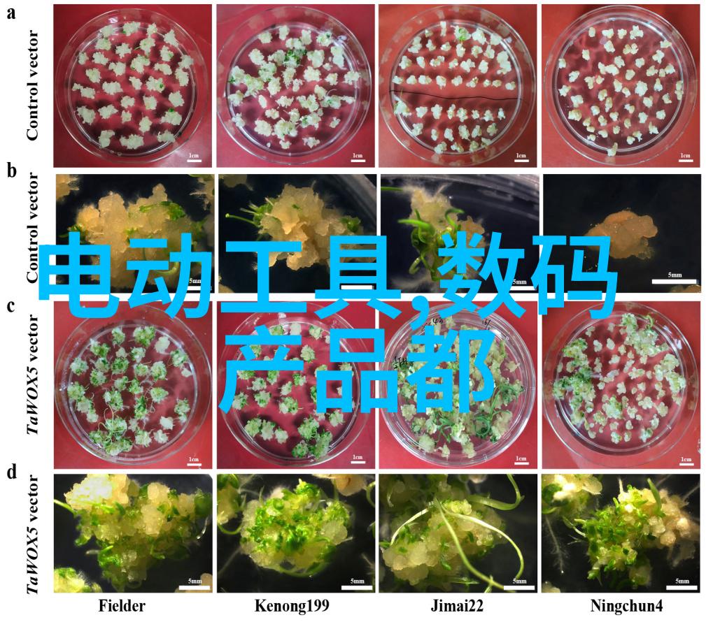 开荒保洁-刮透岁月的尘埃一场无声的清新革命