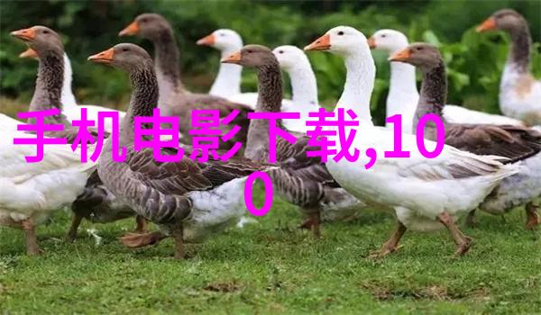 小型不锈钢加工厂精密金属切割与成型服务