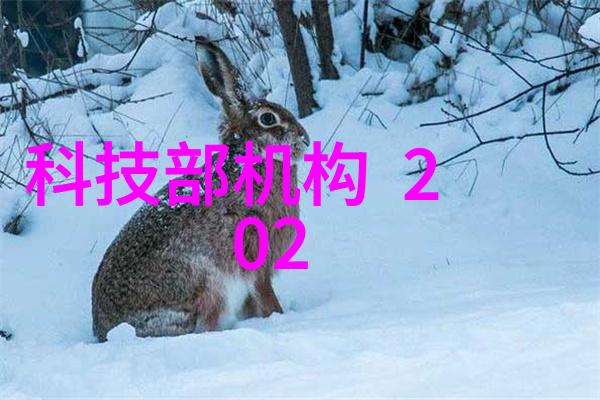 后宫群乱世中的爱与权
