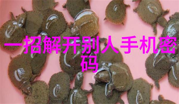 废旧电子产品的新生环境友好型回收与再利用之道