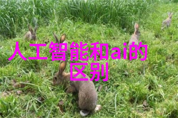 农村自建房一楼客厅装修效果图你如何设计出既符合乡土气息又富有现代感的空间