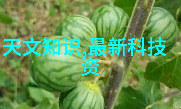 无问东西 - 物是人非探索生活中的无问之谜