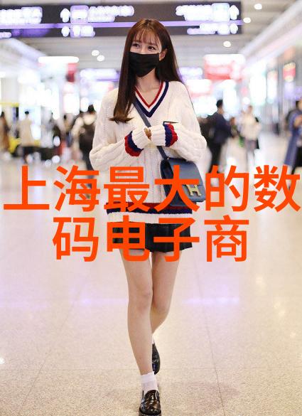 PE管件价格最新动态专业管道材料成本查询系统