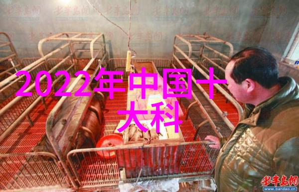 守护神英雄竞赛光与影的终极对决