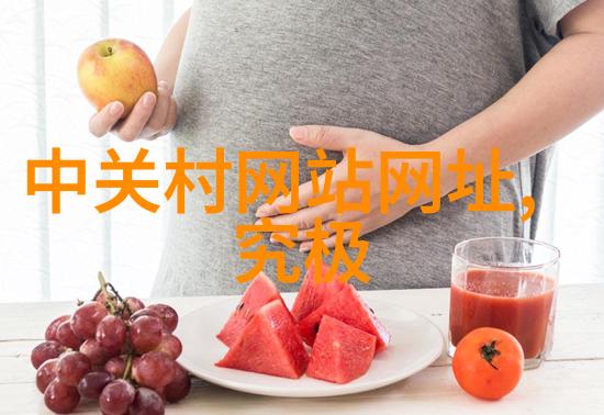 西安财经大学我在这里的故事从书本到实践的奇妙旅程