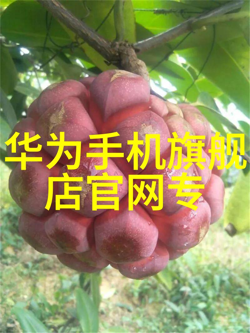 绿色建筑的新选择高密度聚苯乙烯挤塑板的应用与优势