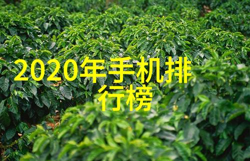 当前市场上主流的干燥技术及其在设计中的应用是什么样的呢