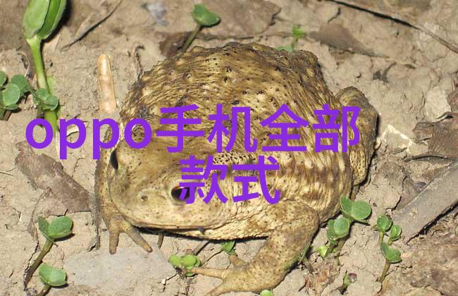 环保地板材料有哪些选择让步伐回归自然之声
