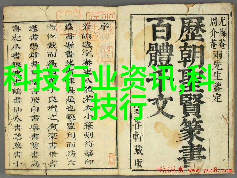 现代简约与自然风情并存当前家庭装修流行趋势解析