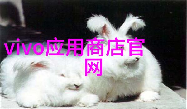 家居装修的新风尚信用时代下的理性选择