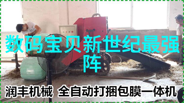 除尘骨架遗忘之城的守望者