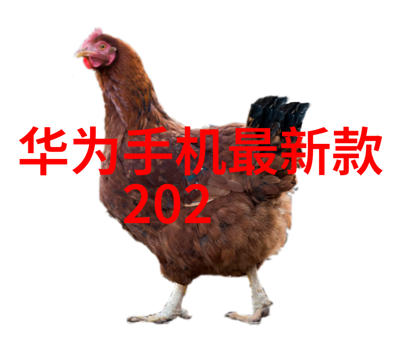 新一代不锈钢产品发布是否会影响现有价格