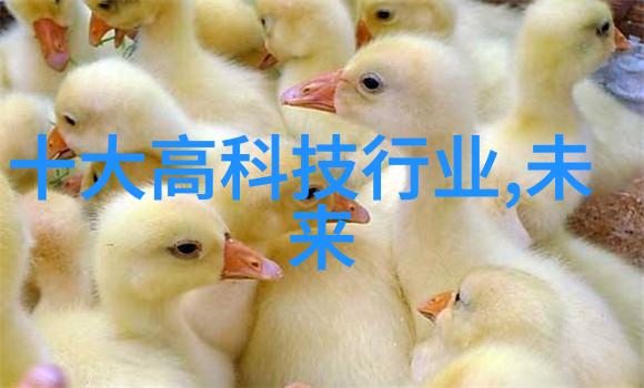 褐煤干燥技术与设备的发展概述