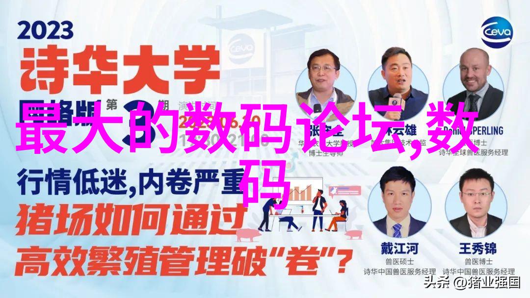中式-中式美食的传统与现代一桌子香