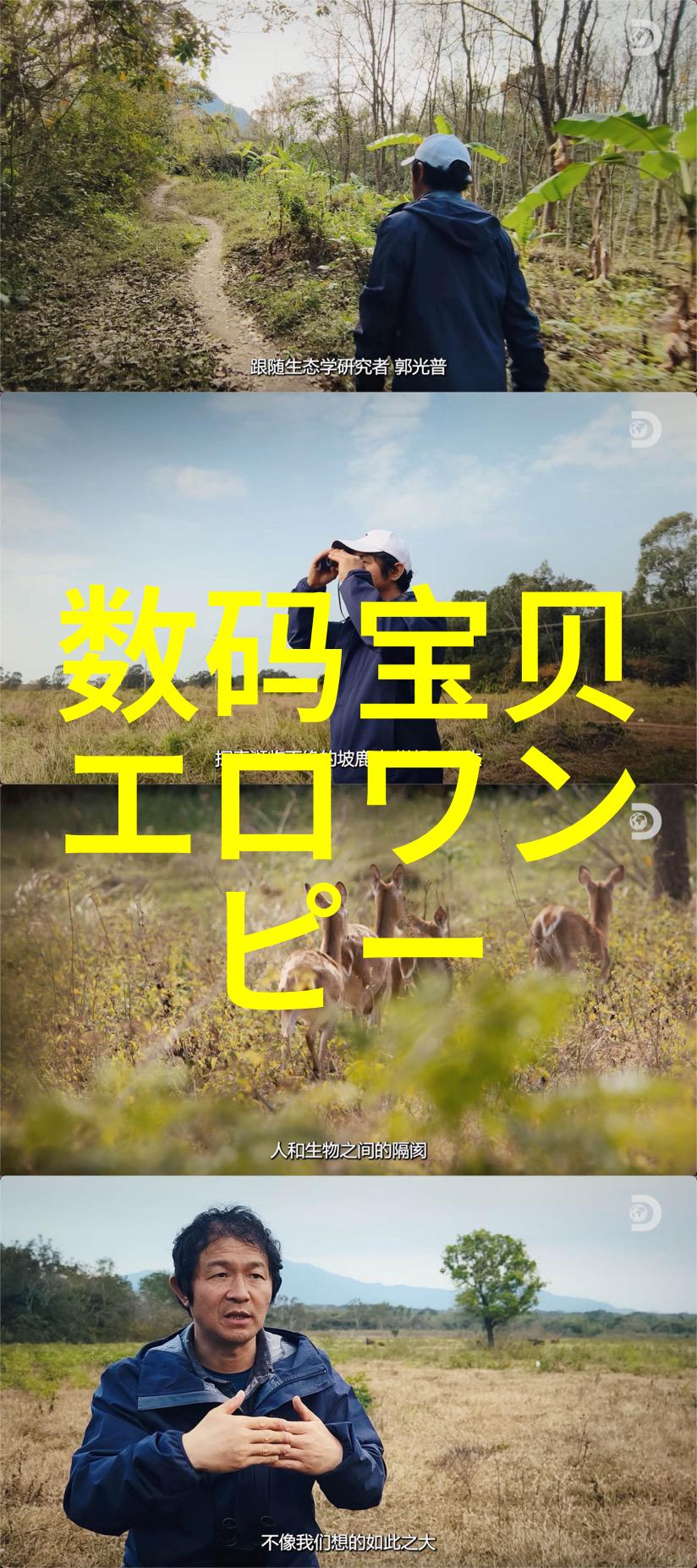 连续式干燥设备-高效无停机的物料处理连续式干燥设备的运用与优点分析