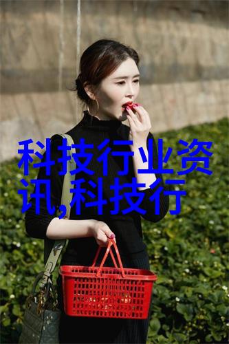 bx500填料参数研究探索材料性能优化的新途径