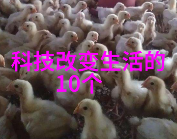 油水分离器安装指南图解操作流程与安全注意事项