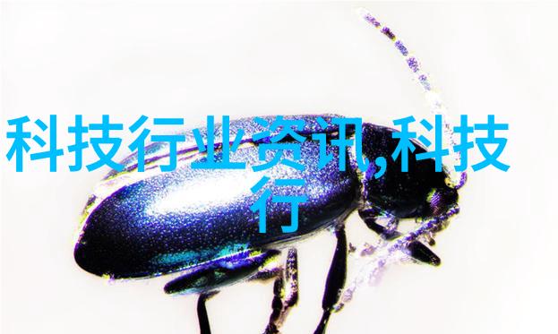 重生之凤族圣子我是凤族的废柴圣子你知道吗