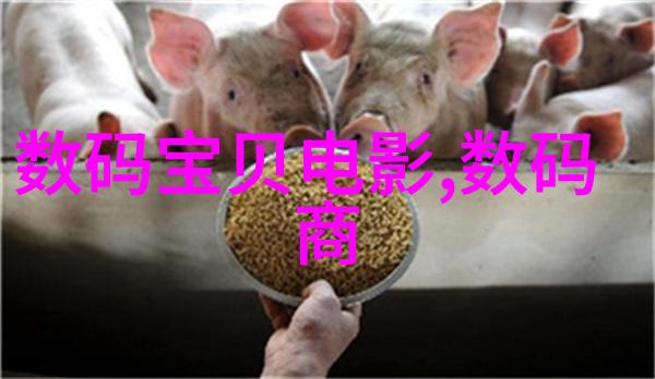 水电安装工程中的安全措施与三级资质有什么关联吗