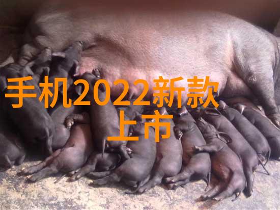 工作报告开头怎么写我是如何开始我的每一次汇报的