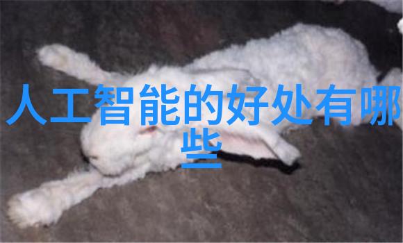 水洗机设备清洁工的信赖伙伴