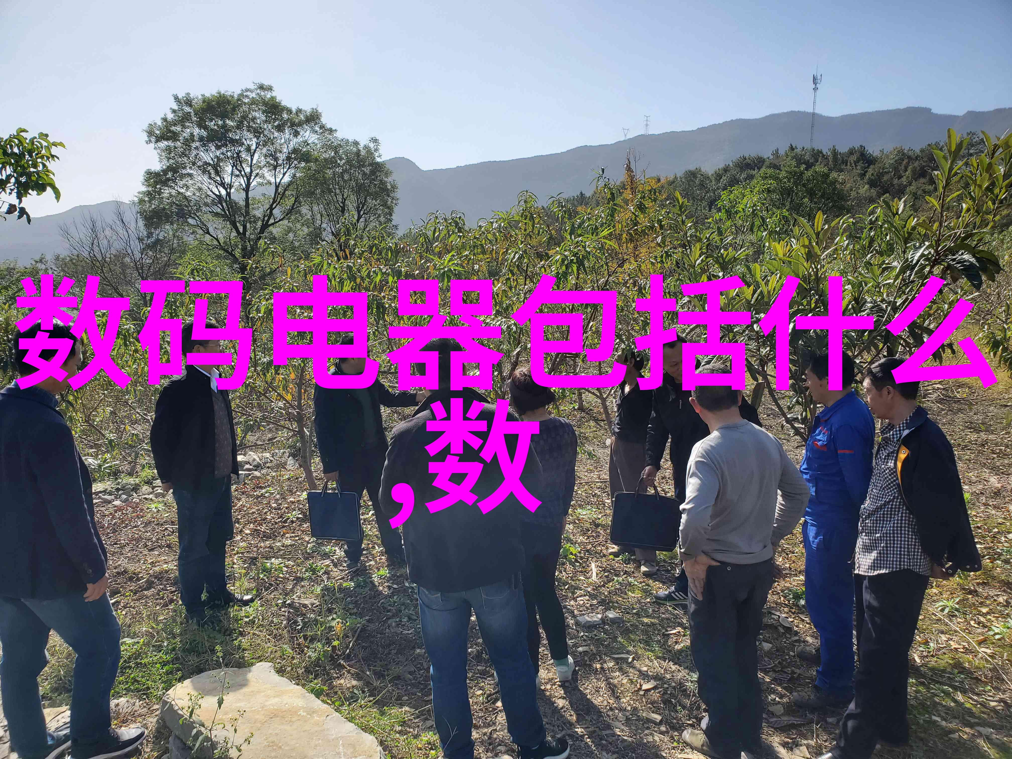 余生请多指教江小绿温柔的助理