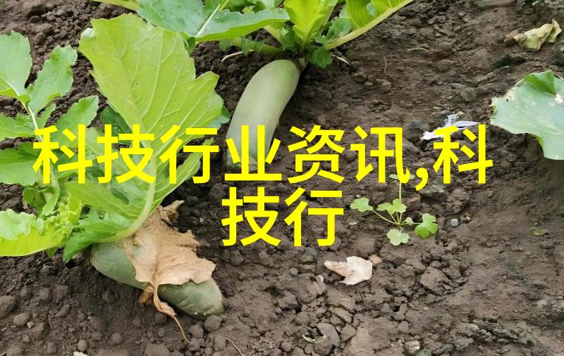 辨别真伪揭秘304钢板的区分技巧