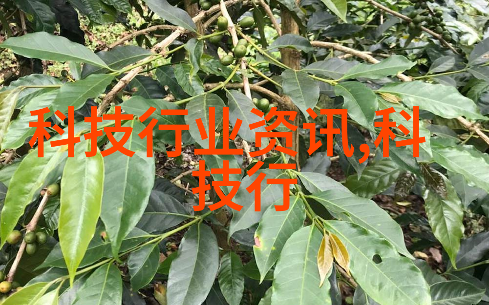华为发布两款全闪存新品-极速存储未来科技