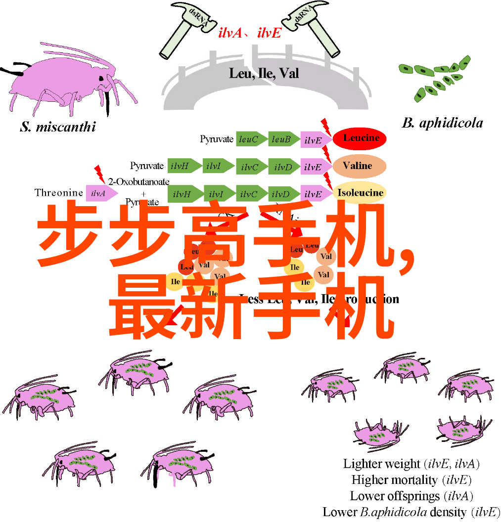 什么因素会影响蒸汽发生器的性能和效率