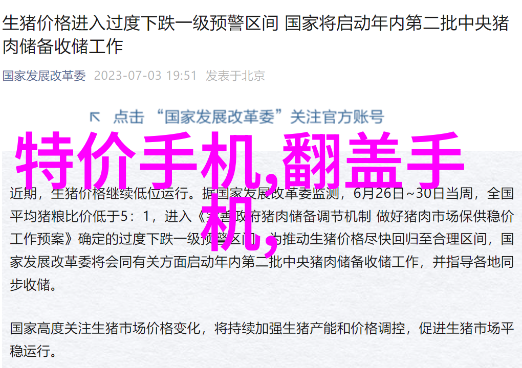 兔宝宝的秘密生活是什么样的
