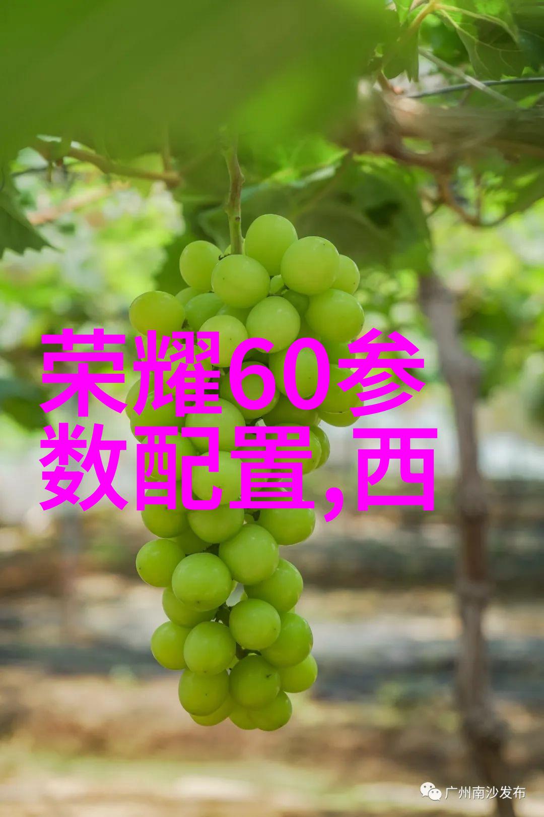 静谧的真空微波干燥之谜