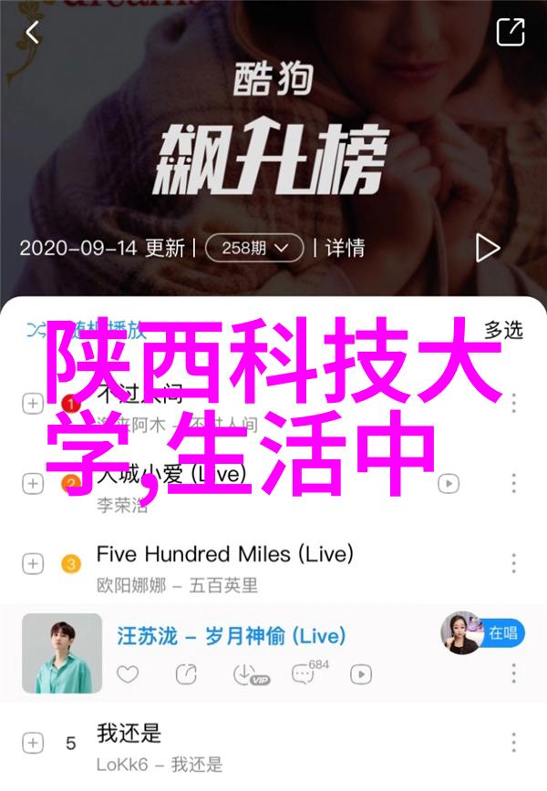 反应物流转化的管道之心深入理解管式反应器的应用与创新