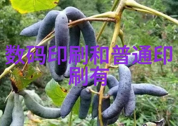 汽车零部件分类简介