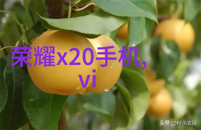 家庭装修知识体系构建从基础到高级技巧的探索