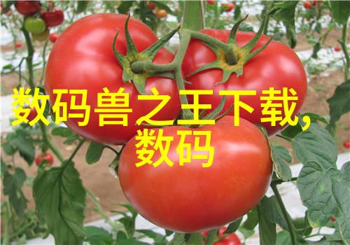 现代化生产的关键流水线输送设备的重要性与应用