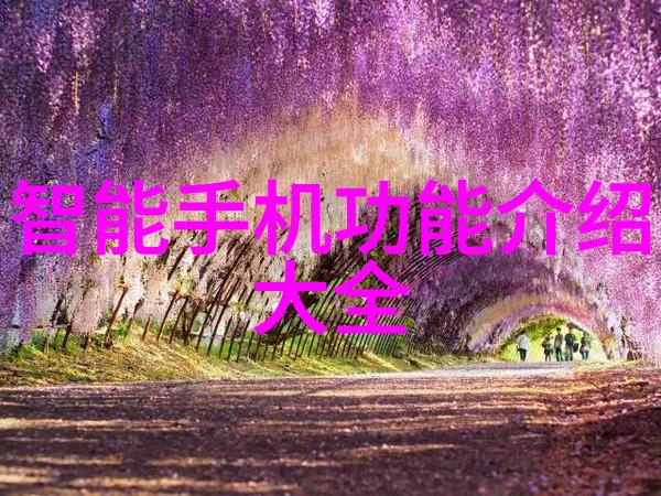 螺旋之舞分离的谜团