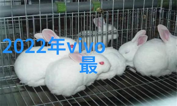 反差之美室内装修设计效果图的视觉冲击