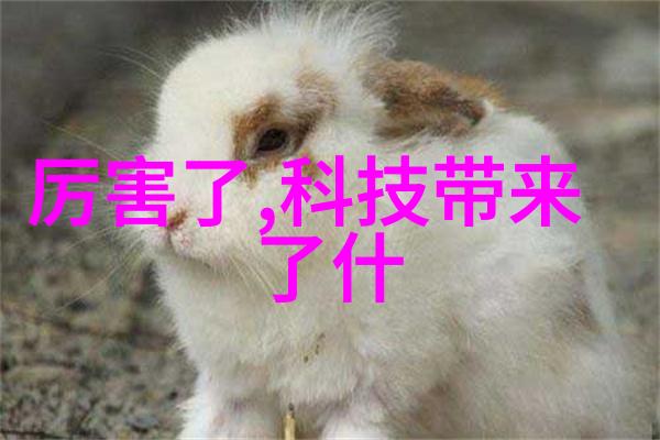 钢结构施工技术高性能钢材应用与精准吊装系统
