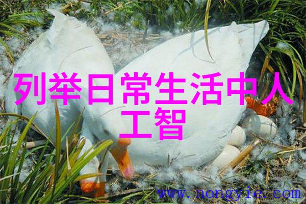 主题我是如何在家里巧妙利用真空机清洁的
