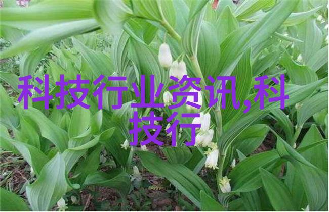 钢之璀璨探索现代钢结构建筑的创新与实践