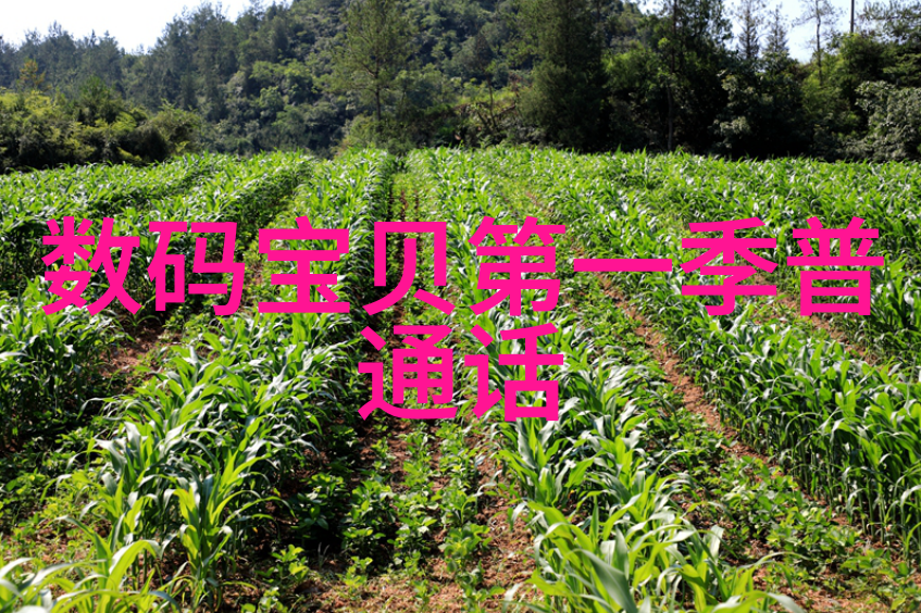邻里美丽年轻漂亮邻居的故事