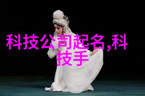 DN50金属环矩形鞍型填料安装指南与帮助手册