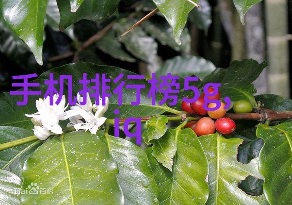 应用商店下载安装指南从搜索到体验的全程解析