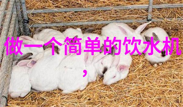 未来的足迹揭秘中国新科技的神秘面纱