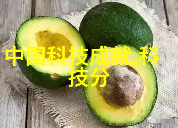 高效节能的带式干燥机技术食品工业中应用广泛的新型干燥设备