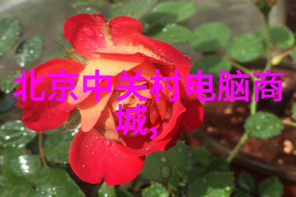 我的室友有点多1V3-人数过剩的宿舍生活如何与众同住而不致于三打一